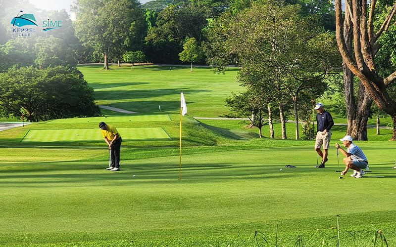 Group of men playing golf